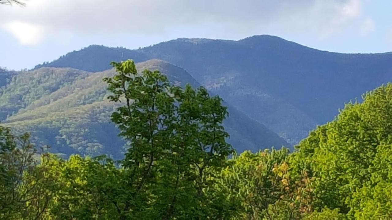 Mountain Serenity Gatlinburg Extérieur photo